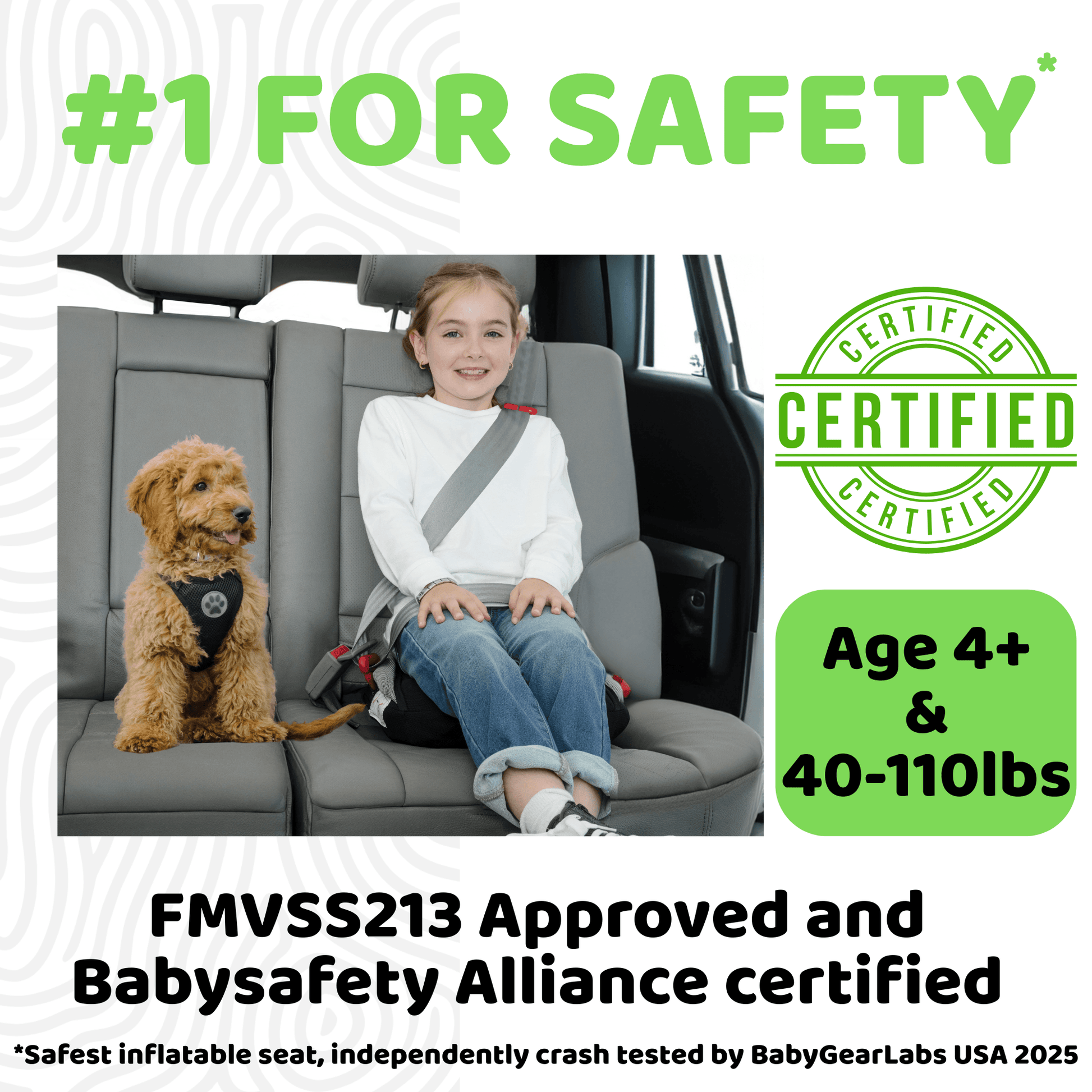 Child and dog in a car seat with safety certification labels