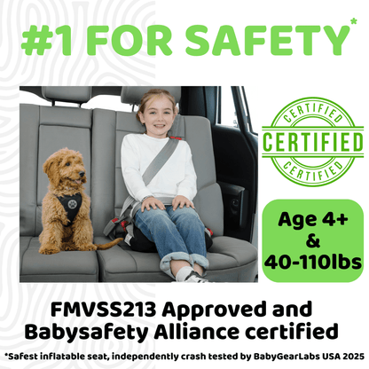Child and dog in a car seat with safety certification labels