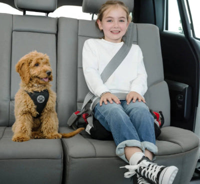 A young girl and a small brown fluffy dog sitting together in the backseat of a car. The girl is smiling and buckled into a booster seat with a grey seatbelt. The dog is wearing a black safety harness with a paw print logo.