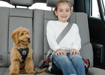 Child and dog in car seat with seatbelts